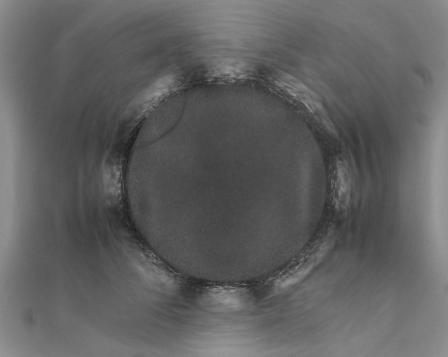 X0000111680708200908141450