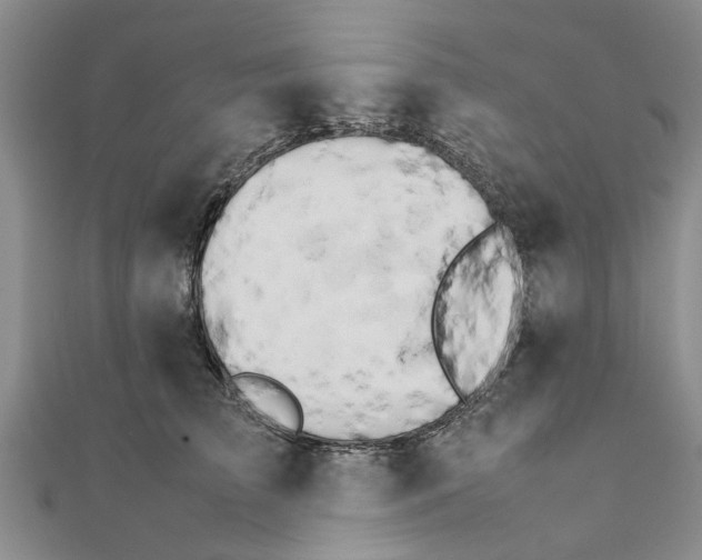 X0000111680709200908141450