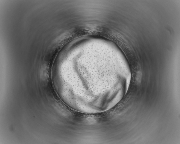 X0000111680710200908141450