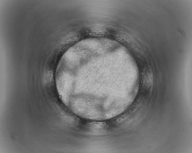 X0000111680711200908141450