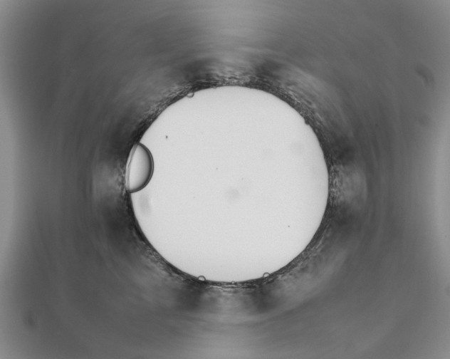 X0000111680713200908141450