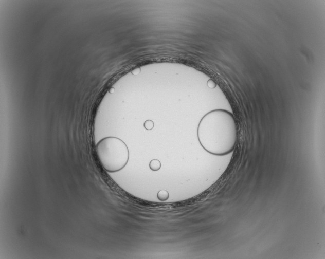 X0000111680715200908141450