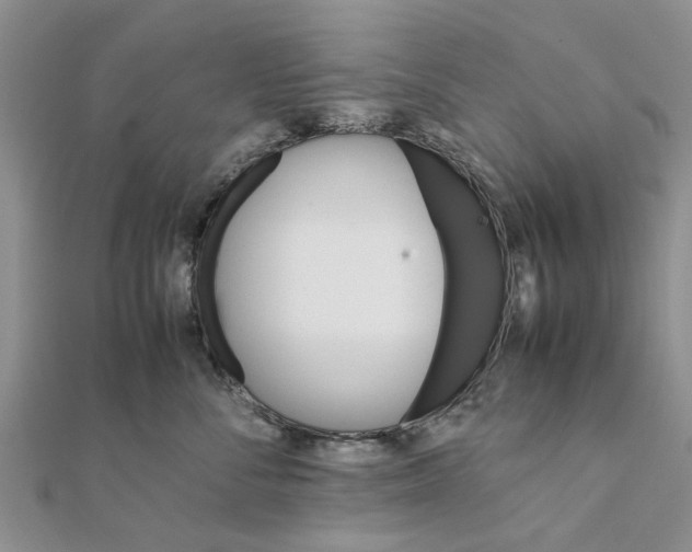 X0000111680716200908141450