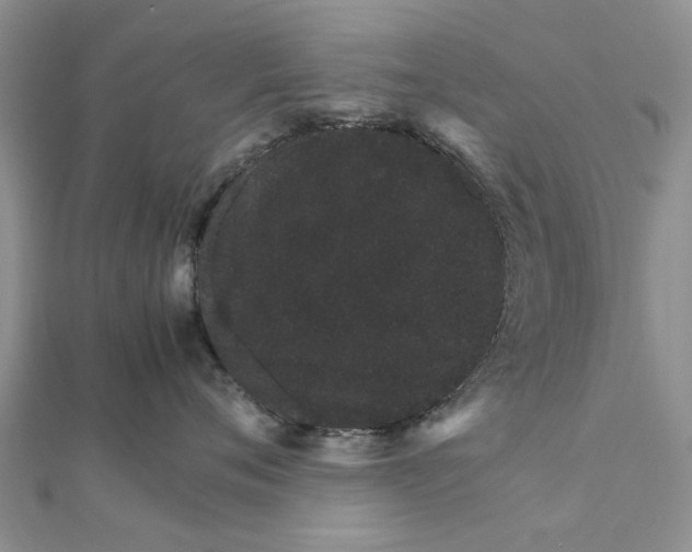 X0000111680720200908141450