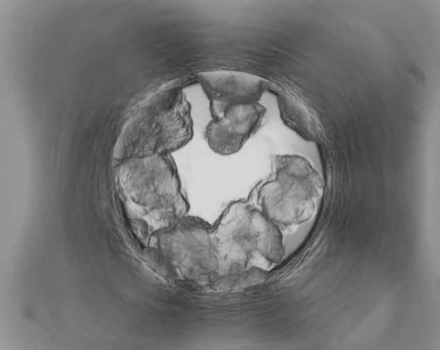 X0000111680721200908141449