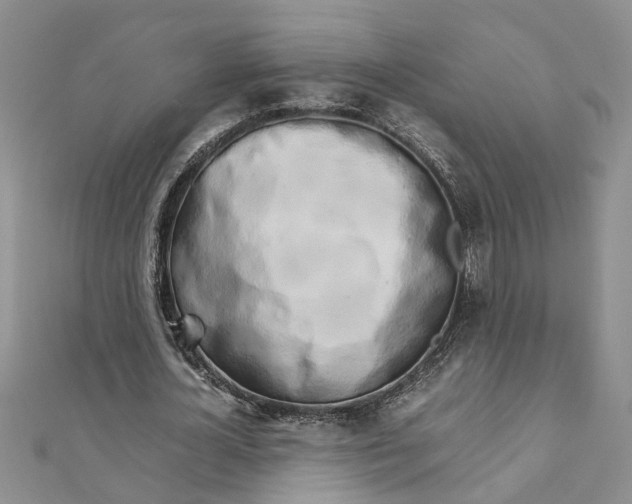 X0000111680724200908141449