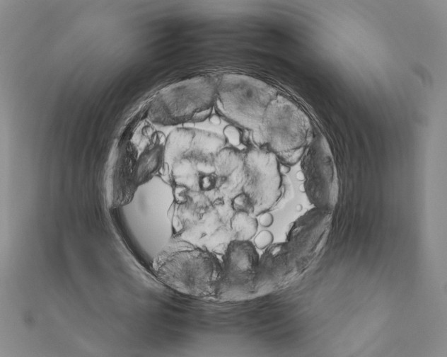 X0000111680725200908141449