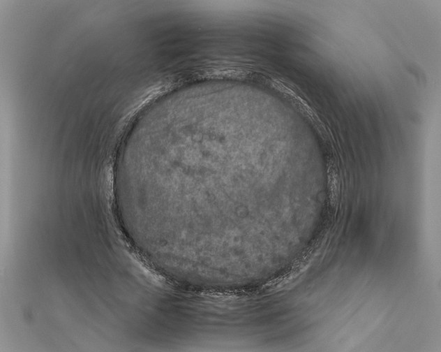 X0000111680729200908141449