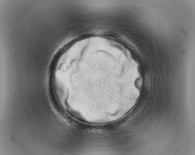 X0000111680730200908141449