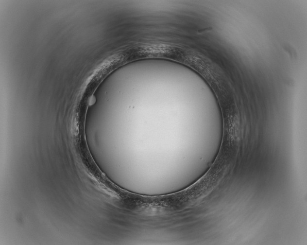 X0000111680731200908141449