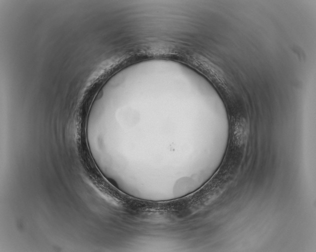 X0000111680732200908141449