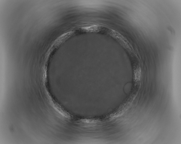 X0000111680733200908141449