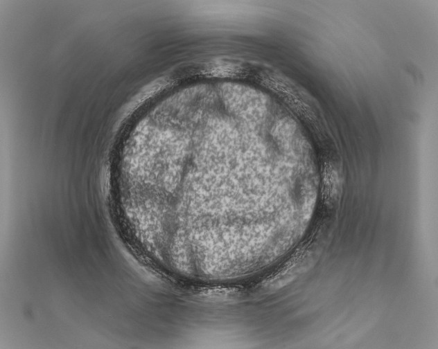 X0000111680734200908141449