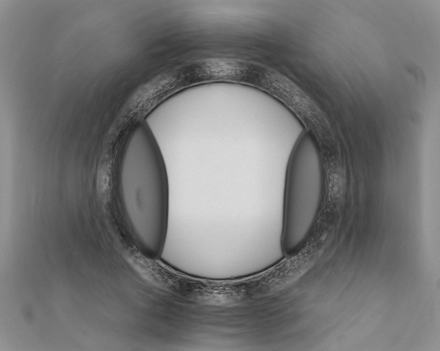 X0000111680736200908141449