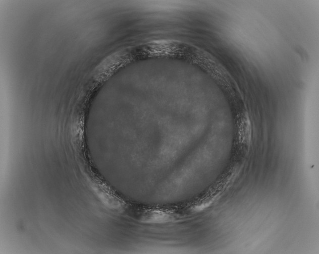 X0000111680737200908141449