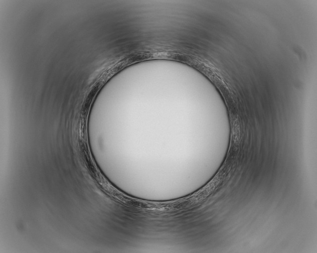 X0000111680740200908141449