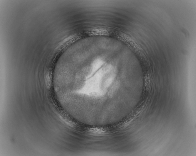 X0000111680741200908141449