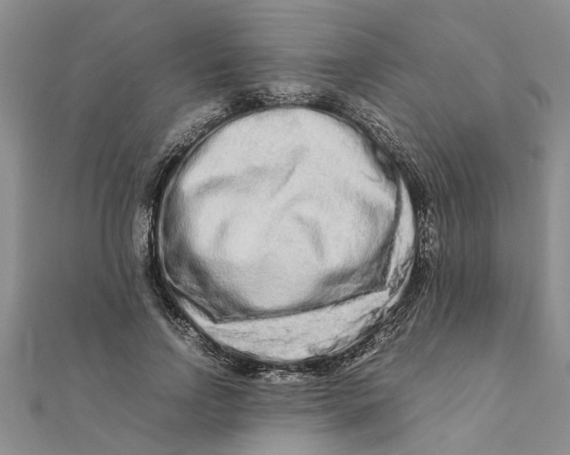 X0000111680742200908141449