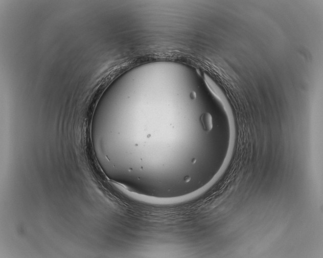 X0000111680744200908141449