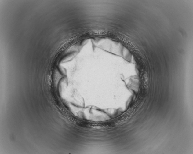 X0000111680746200908141449