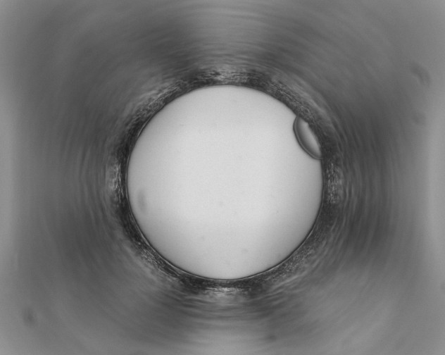 X0000111680748200908141449