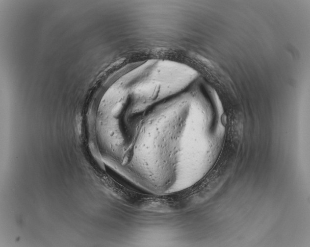 X0000111680750200908141449