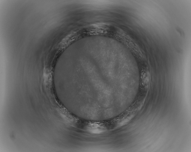 X0000111680753200908141449