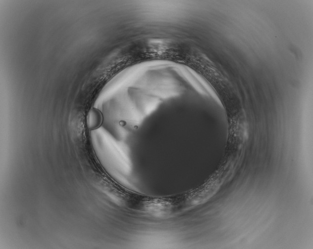 X0000111680754200908141449