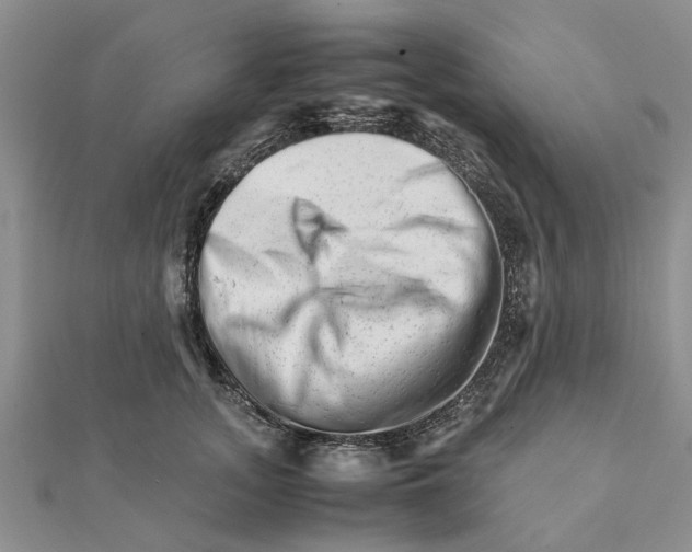 X0000111680755200908141449