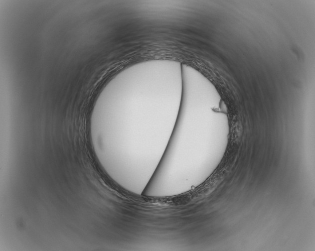 X0000111680756200908141449