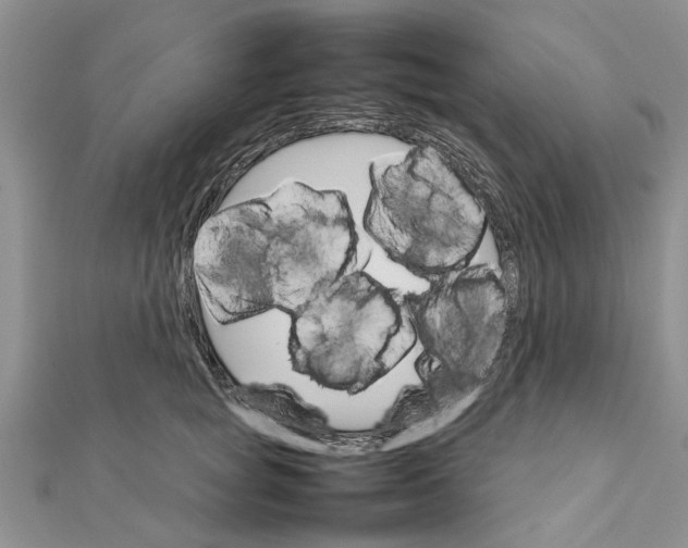 X0000111680757200908141449