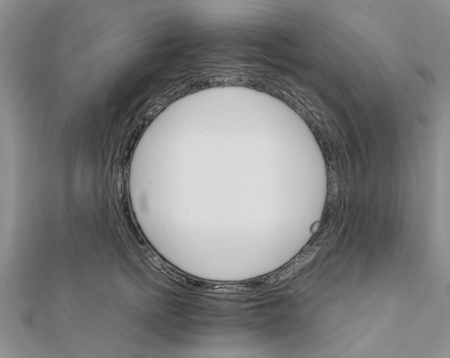 X0000111680758200908141450