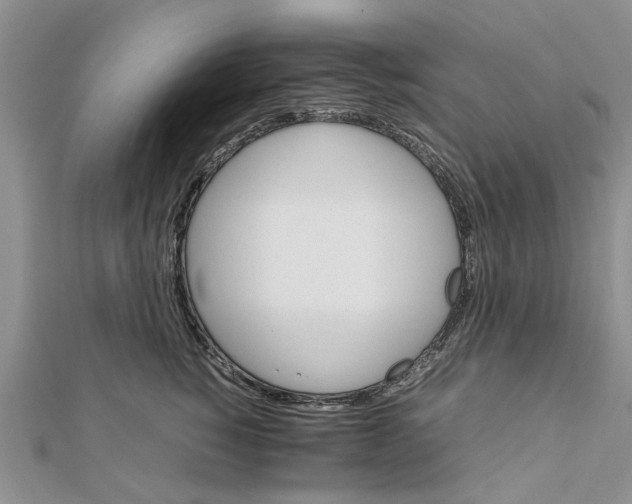 X0000111680760200908141450