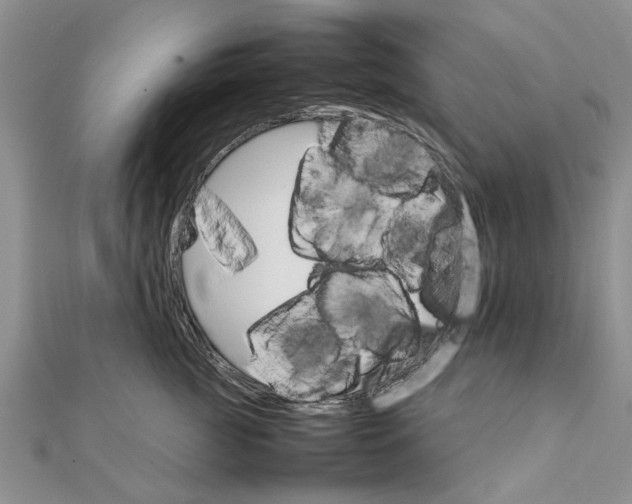 X0000111680761200908141450