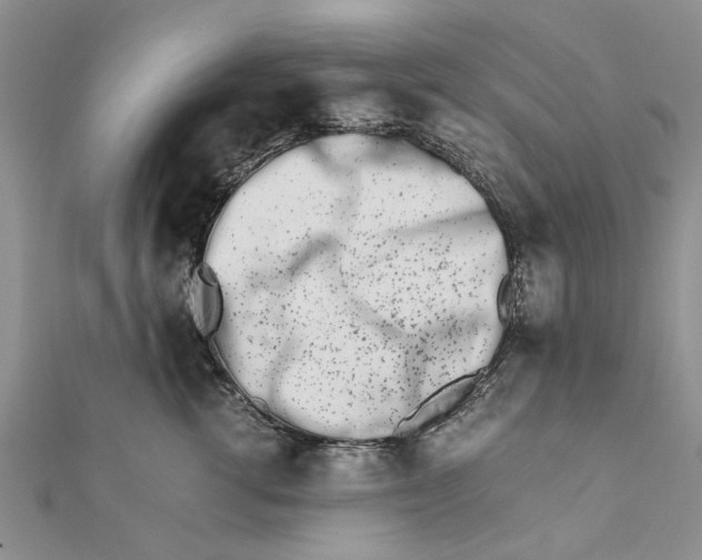 X0000111680762200908141450