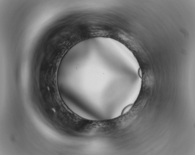 X0000111680764200908141450