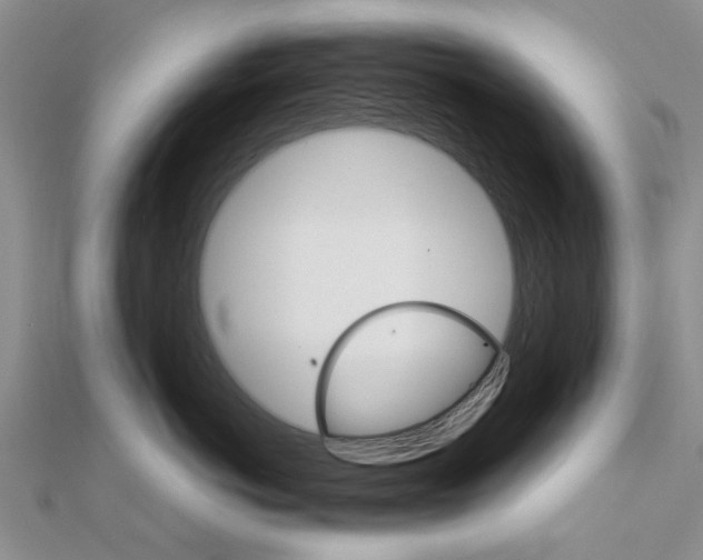 X0000111680766200908141450