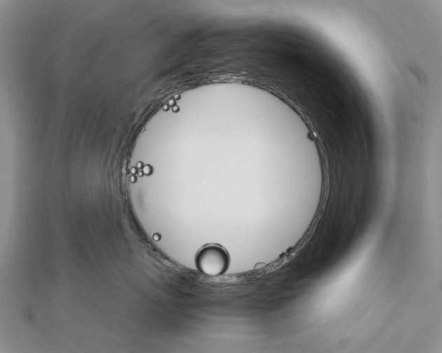 X0000111680767200908141450