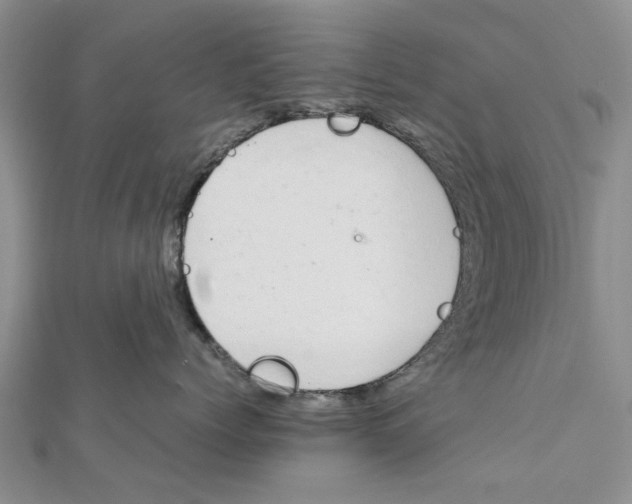 X0000111680768200908141450