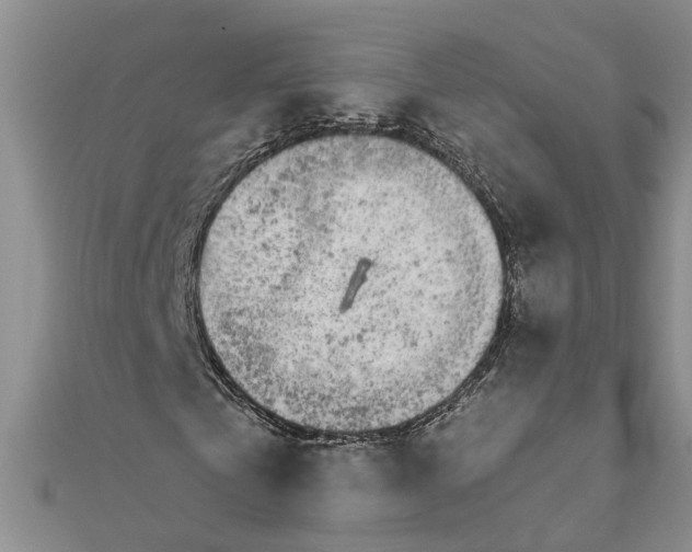 X0000111680769200908141449