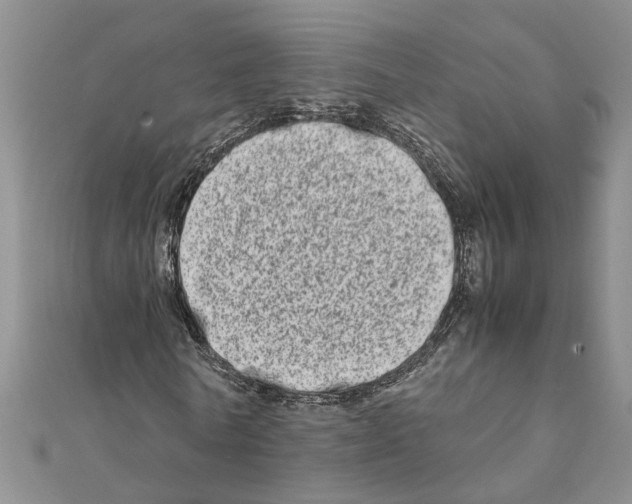 X0000111680770200908141449