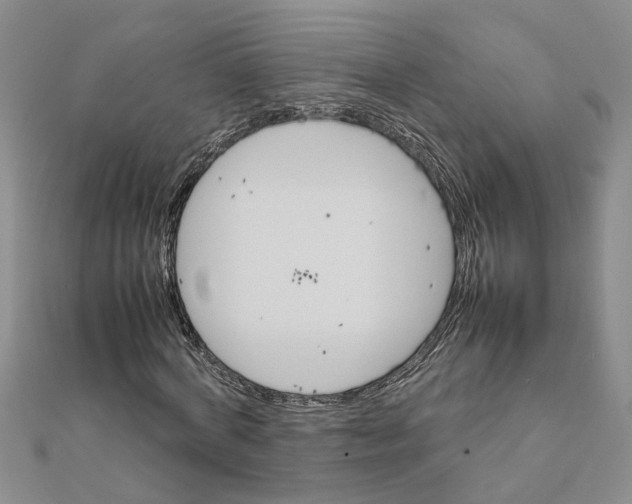 X0000111680772200908141449