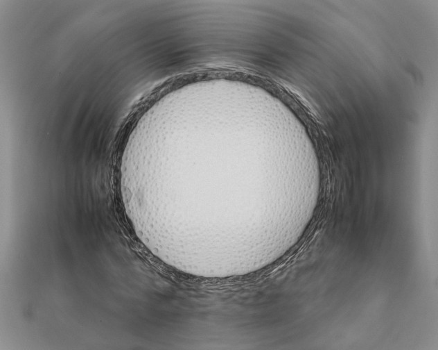 X0000111680776200908141449