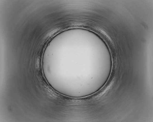 X0000111680777200908141449