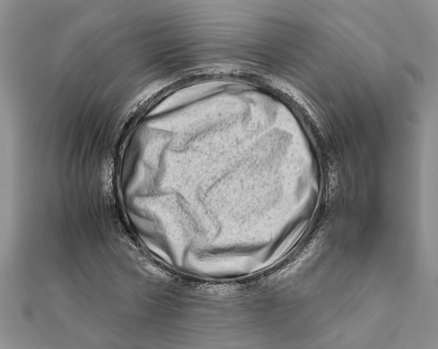 X0000111680778200908141449