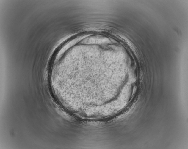 X0000111680779200908141449