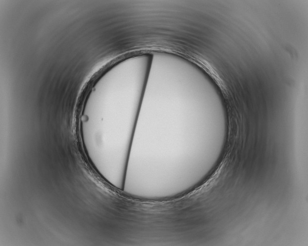 X0000111680780200908141449