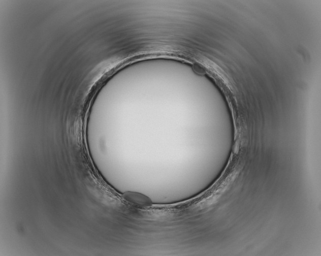 X0000111680781200908141449