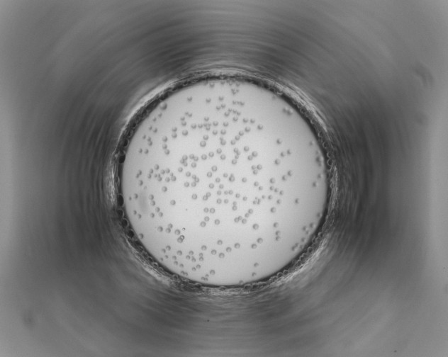 X0000111680782200908141449