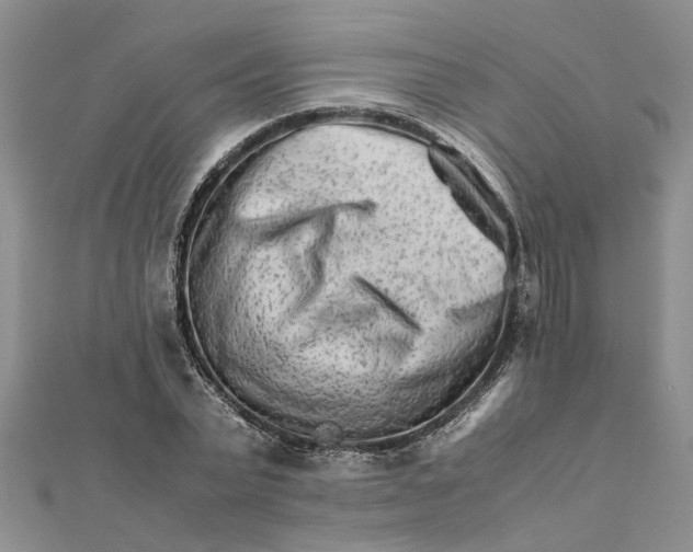 X0000111680783200908141449